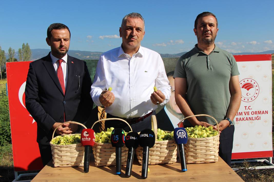 Amasya üretiyor, Konya yiyor 3